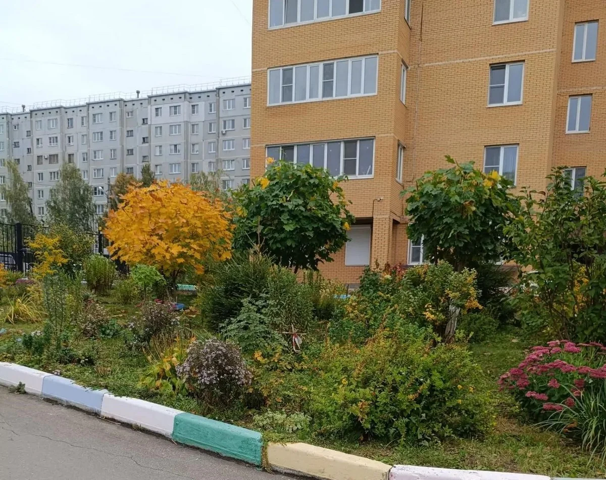 ДЖеревья все ухоженные и пушистые.