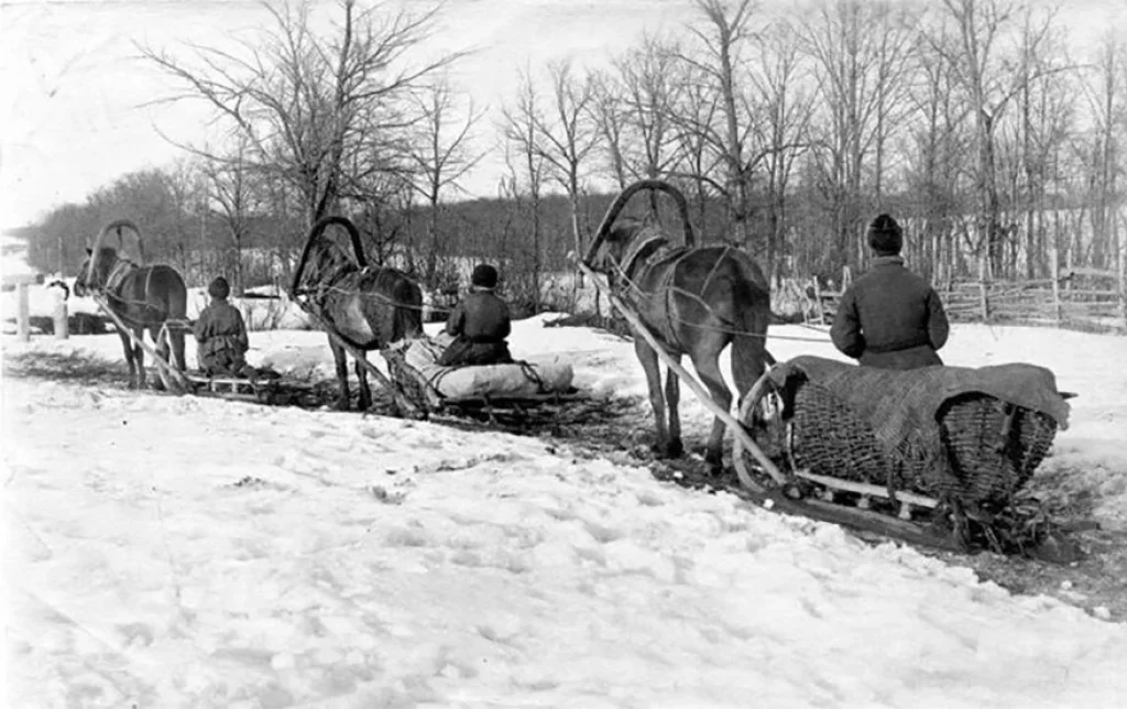 22 декабря в Калуге рассказали об угнанных санях