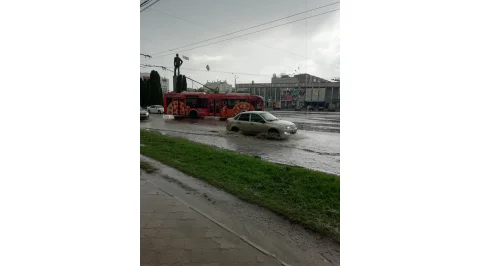 246.jpg