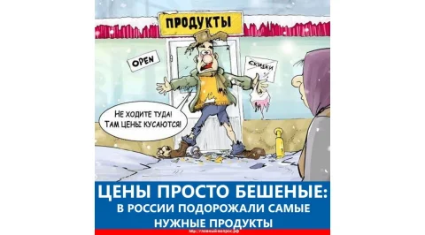 2539.jpg