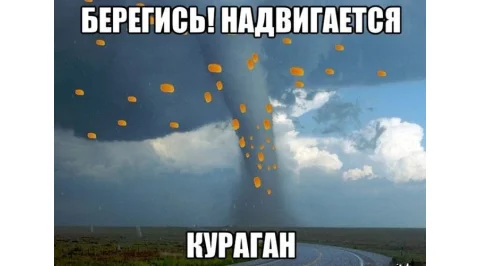 2577.jpg