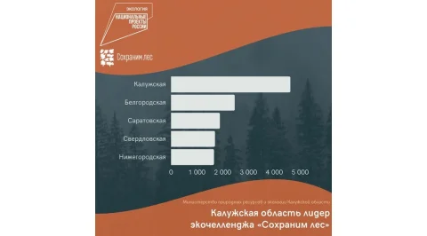 2862.jpg