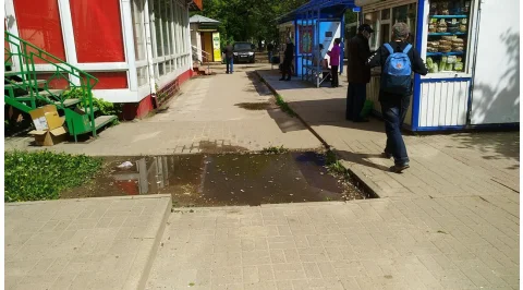 3721.jpg