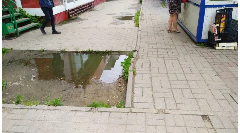 3722.jpg