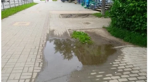 3723.jpg