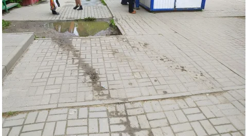 3725.jpg