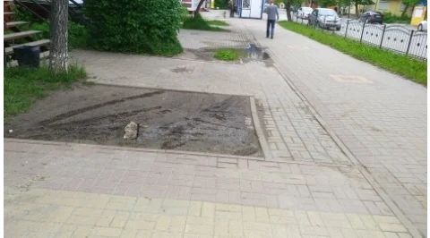 3726.jpg