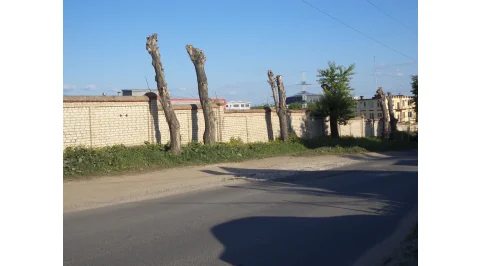 5339.jpg