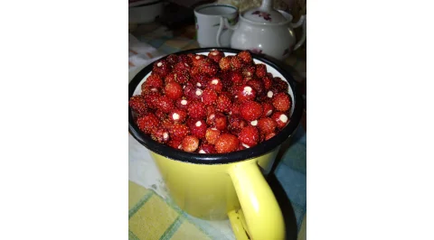 822.jpg