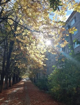 Каштановая аллея по улице Московской