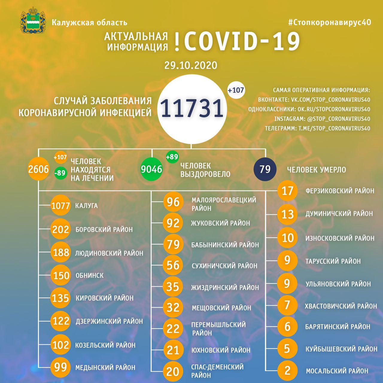 Официальные данные по коронавирусу в Калужской области на 29 октября 2020 года.