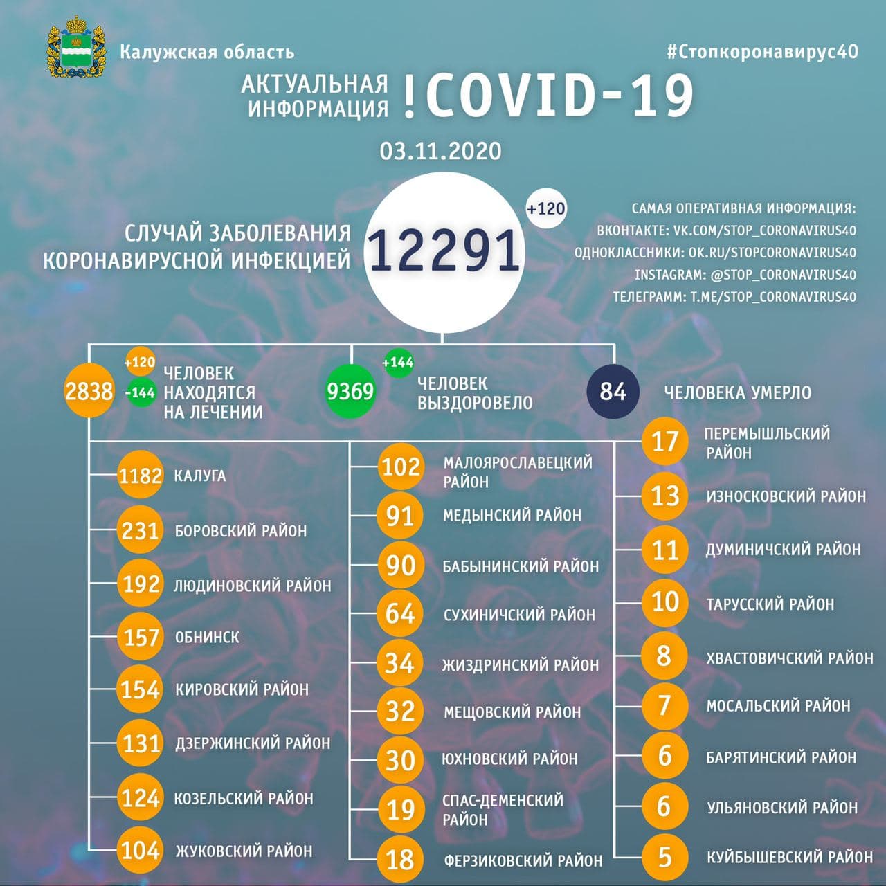 Официальные данные по коронавирусу в Калужской области на 3 ноября 2020 года.